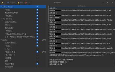 BleachBit プレビューの実行結果
